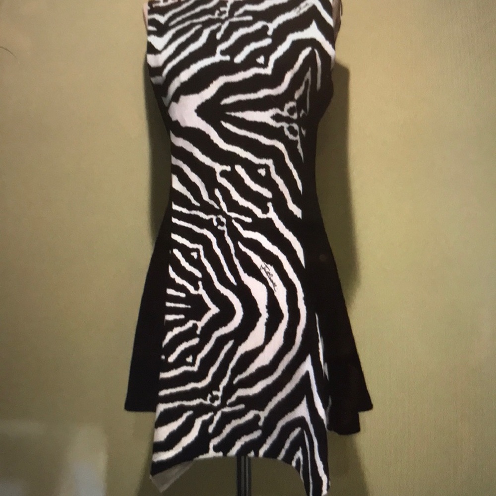 Zebra panel dress